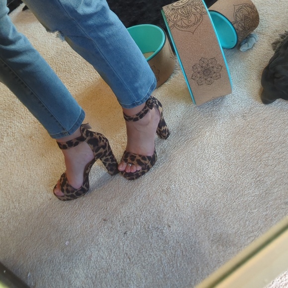 Leopard platforms - Picture 12 of 12